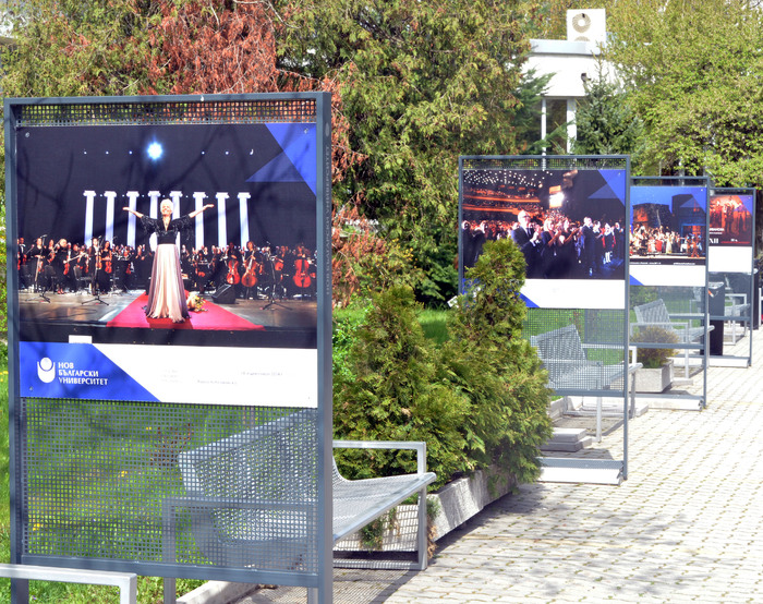 dsc-0003_700x700_fit_478b24840a