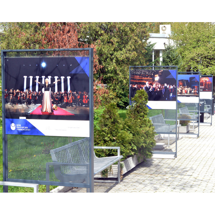 dsc-0003_700x700_pad_478b24840a