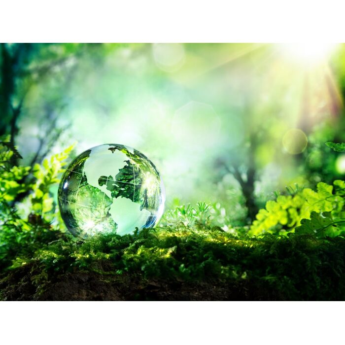 i-stock-473454180-1024x767_700x700_pad_478b24840a