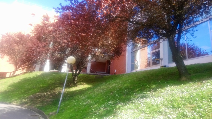 bilbao-uni-2_700x700_fit_478b24840a