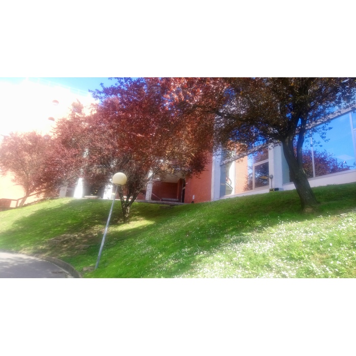 bilbao-uni-2_700x700_pad_478b24840a