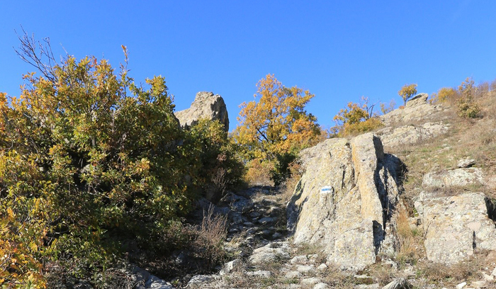 archeology1_700x700_fit_478b24840a