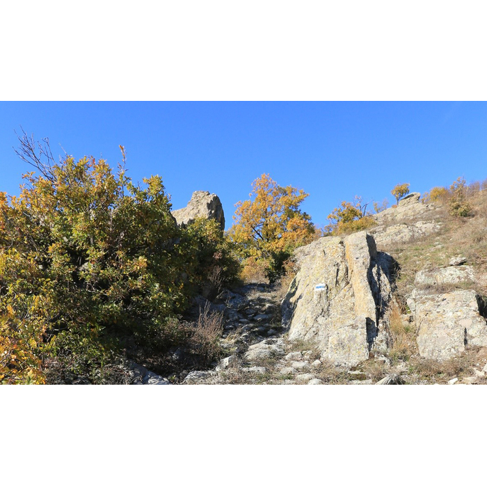 archeology1_700x700_pad_478b24840a