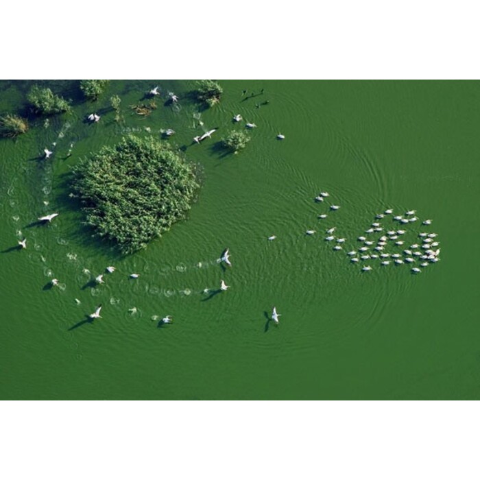 s_700x700_pad_478b24840a