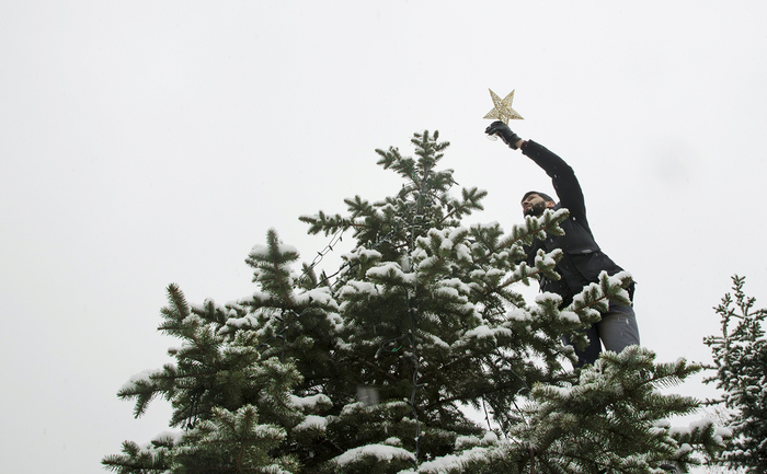 dsc0008-copy_700x700_fit_478b24840a