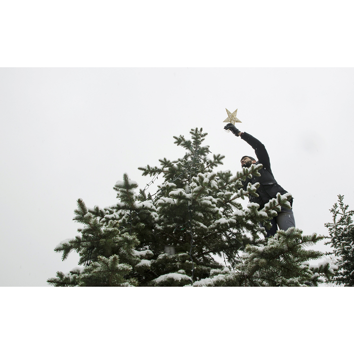 dsc0008-copy_700x700_pad_478b24840a