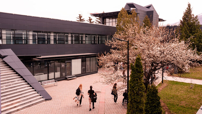 2533886_700x700_fit_478b24840a