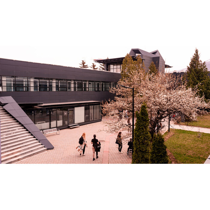 2533886_700x700_pad_478b24840a