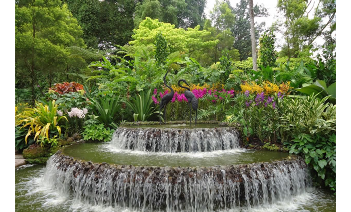 botaniceska_700x700_fit_478b24840a