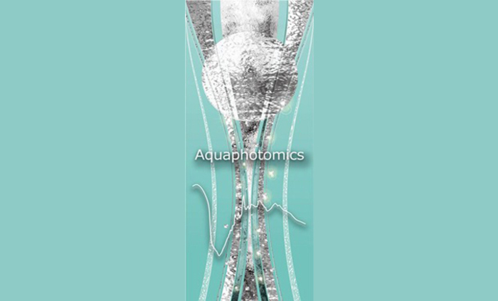 akva_700x700_fit_478b24840a