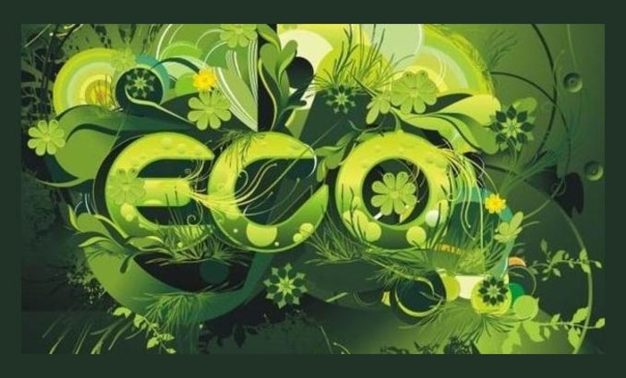 eco_700x700_fit_478b24840a