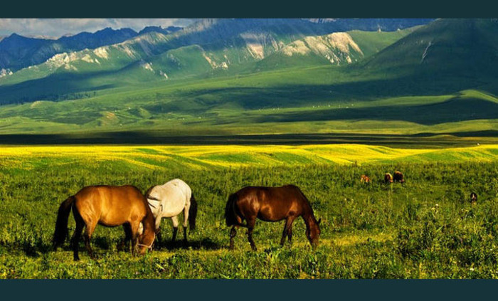 kazahstan_700x700_fit_478b24840a