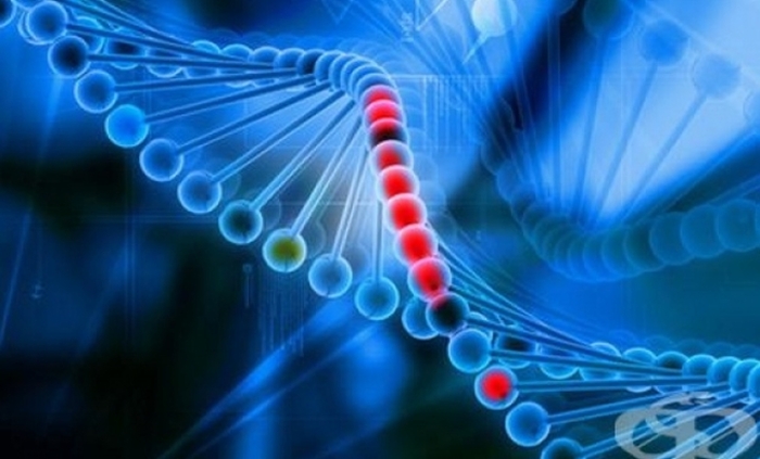 studenti-biologiq_700x700_fit_478b24840a