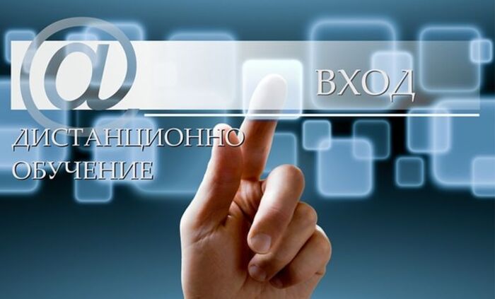 distancionno-obuchenie_700x700_fit_478b24840a
