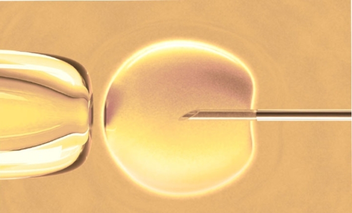 in-vitro-novini-bg1_700x700_fit_478b24840a