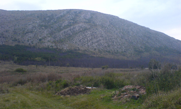 nedoocenenoto-planinsko_700x700_fit_478b24840a