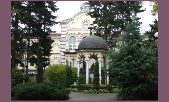 arhimadrid-sofia-seminaria-org_700x700_fit_478b24840a