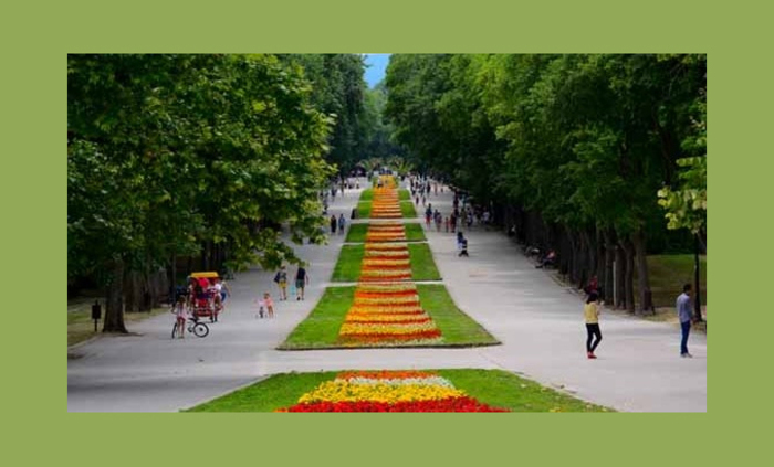 s-otliciq_700x700_fit_478b24840a