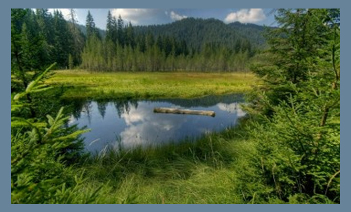 zapocva-petoto_700x700_fit_478b24840a