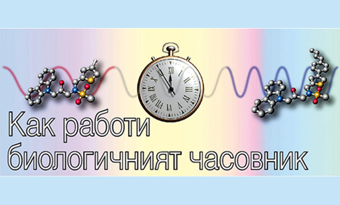 nobelovi_700x700_fit_478b24840a