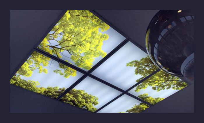 artinstalacii_700x700_fit_478b24840a