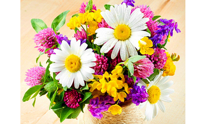 rozden_700x700_fit_478b24840a