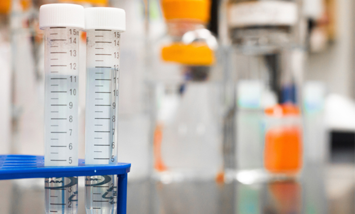 biology-blur-blurred-background-954585_700x700_fit_478b24840a