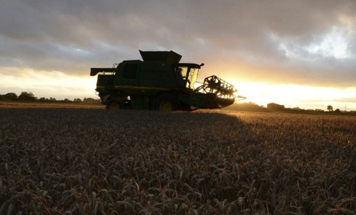 agro_700x700_fit_478b24840a