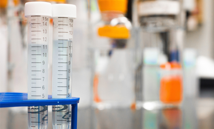 biology-blur-blurred-background-954585_700x700_fit_478b24840a
