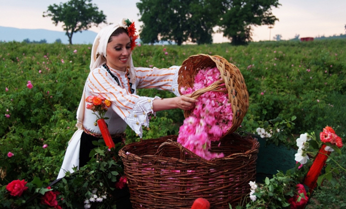 s-duh-na-kazanlushka-kmeta-bg_700x700_fit_478b24840a