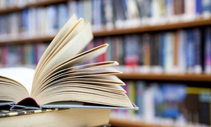 obuchenie-po-literatura_700x700_fit_478b24840a
