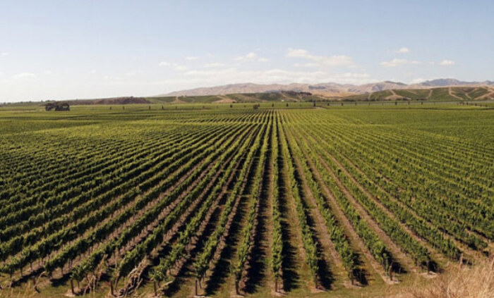 lozia-agri-bg_700x700_fit_478b24840a