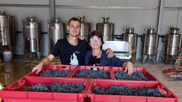 wine_700x700_fit_478b24840a