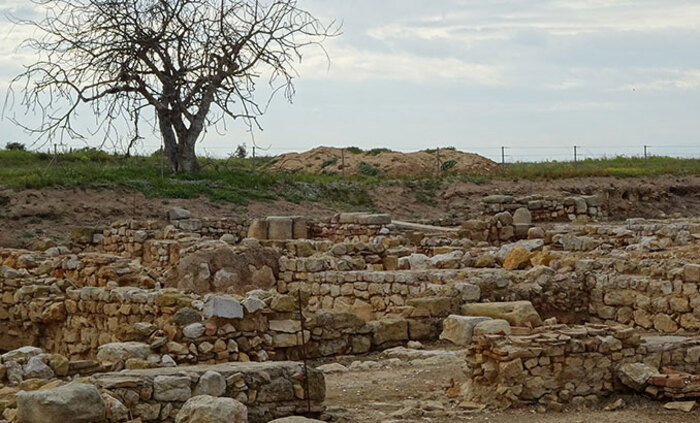 archeology-pixabay_700x700_fit_478b24840a