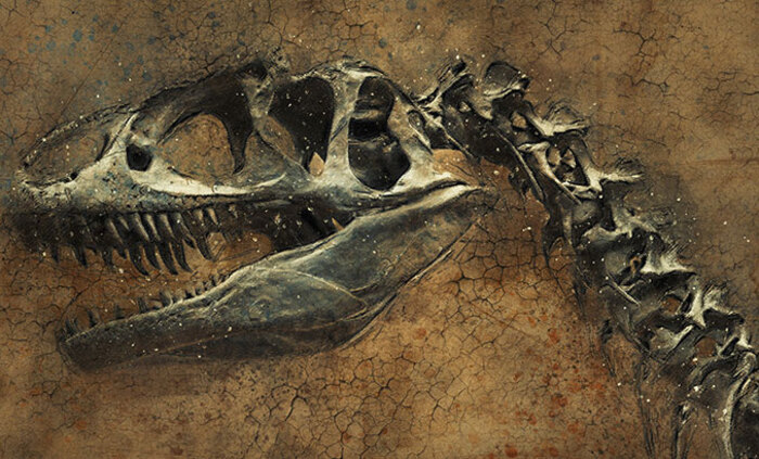 dinosaur-pixabay_700x700_fit_478b24840a