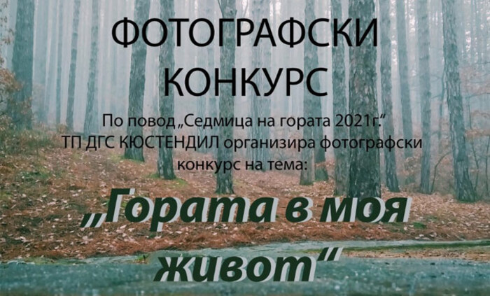 gorata-v-moq-jivot-bnr_700x700_fit_478b24840a