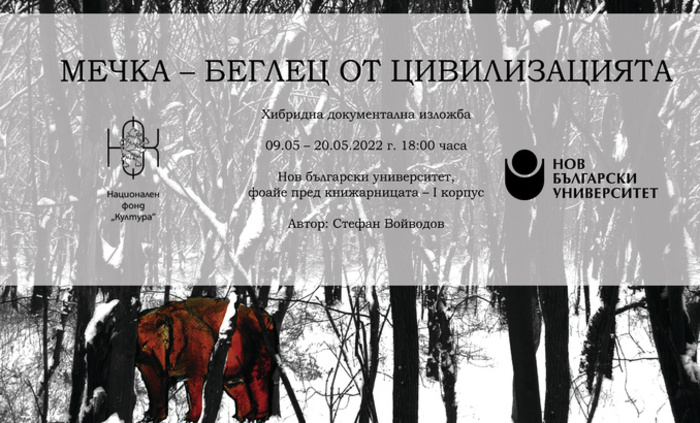 mechka-beglec_700x700_fit_478b24840a