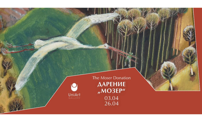 nbu-tvorbi-anastasiq-mozer_700x700_fit_478b24840a