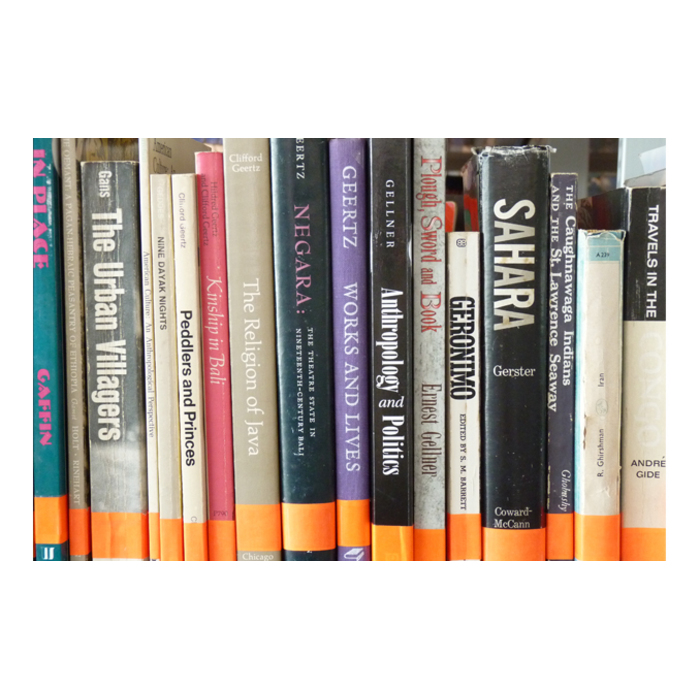 p1030397_700x700_pad_478b24840a