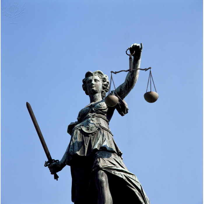 151-2561684-w_700x700_pad_478b24840a