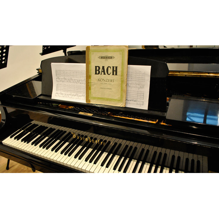 dsc0001-3-copy_700x700_pad_478b24840a