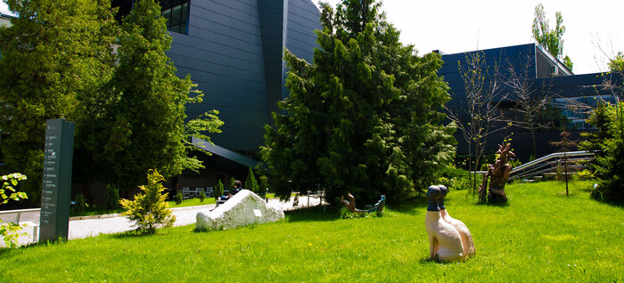 newsaugust2015-2_700x700_fit_478b24840a