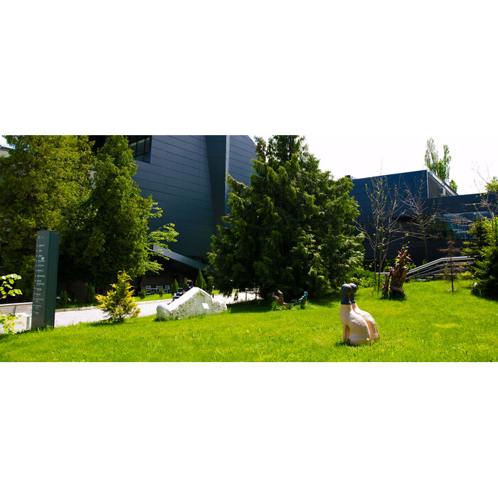 newsaugust2015-2_700x700_pad_478b24840a