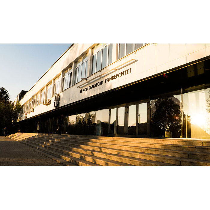 p1050878-copy_700x700_pad_478b24840a