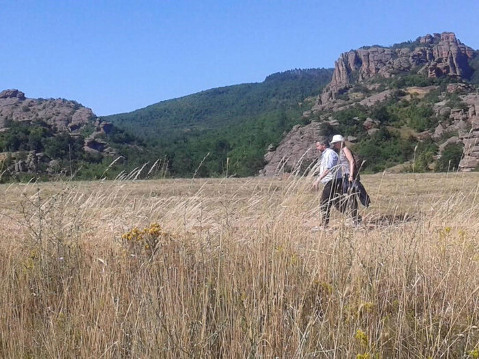 ch-8-8_700x700_fit_478b24840a