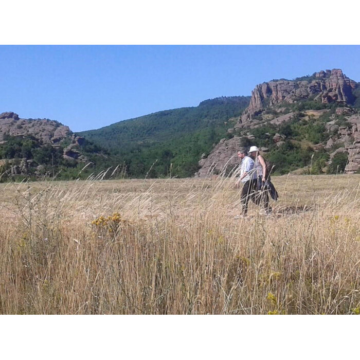 ch-8-8_700x700_pad_478b24840a