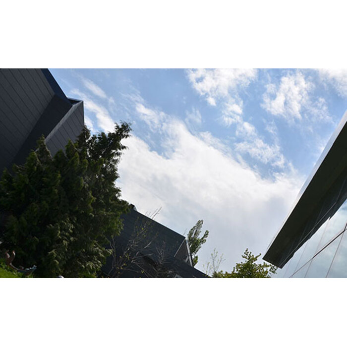 doctorska-zshtita_700x700_pad_478b24840a