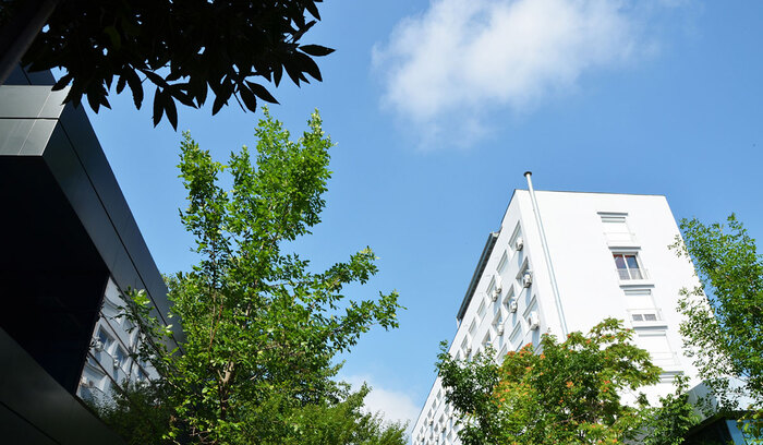 dsc-4606-copy_700x700_fit_478b24840a