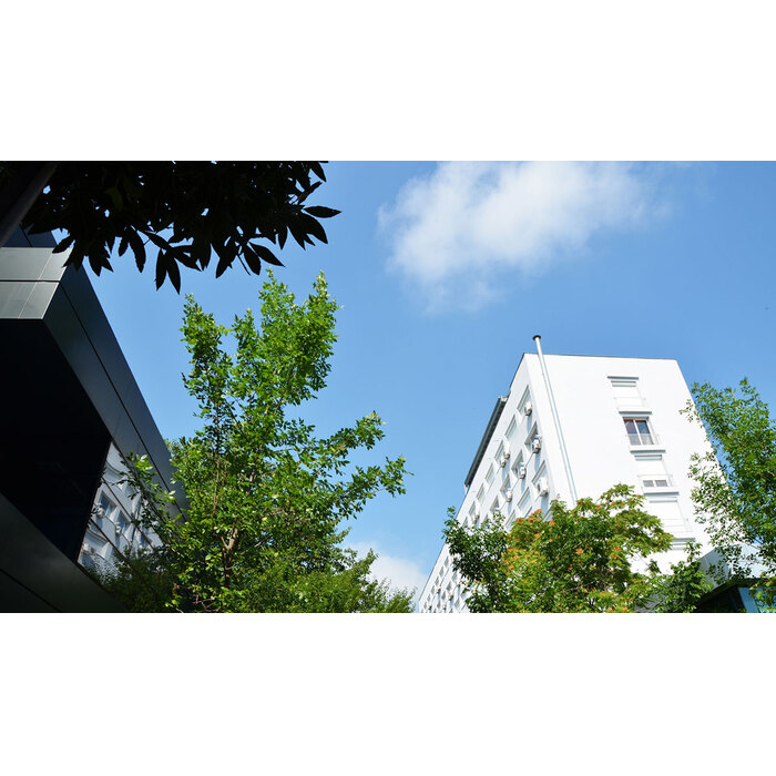 dsc-4606-copy_700x700_pad_478b24840a