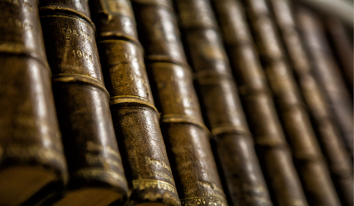 novabulgaristikanachalna_700x700_fit_478b24840a